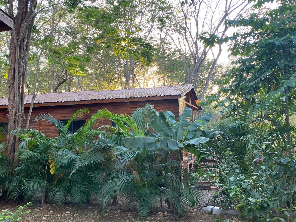 Lodge Casa Natural *
